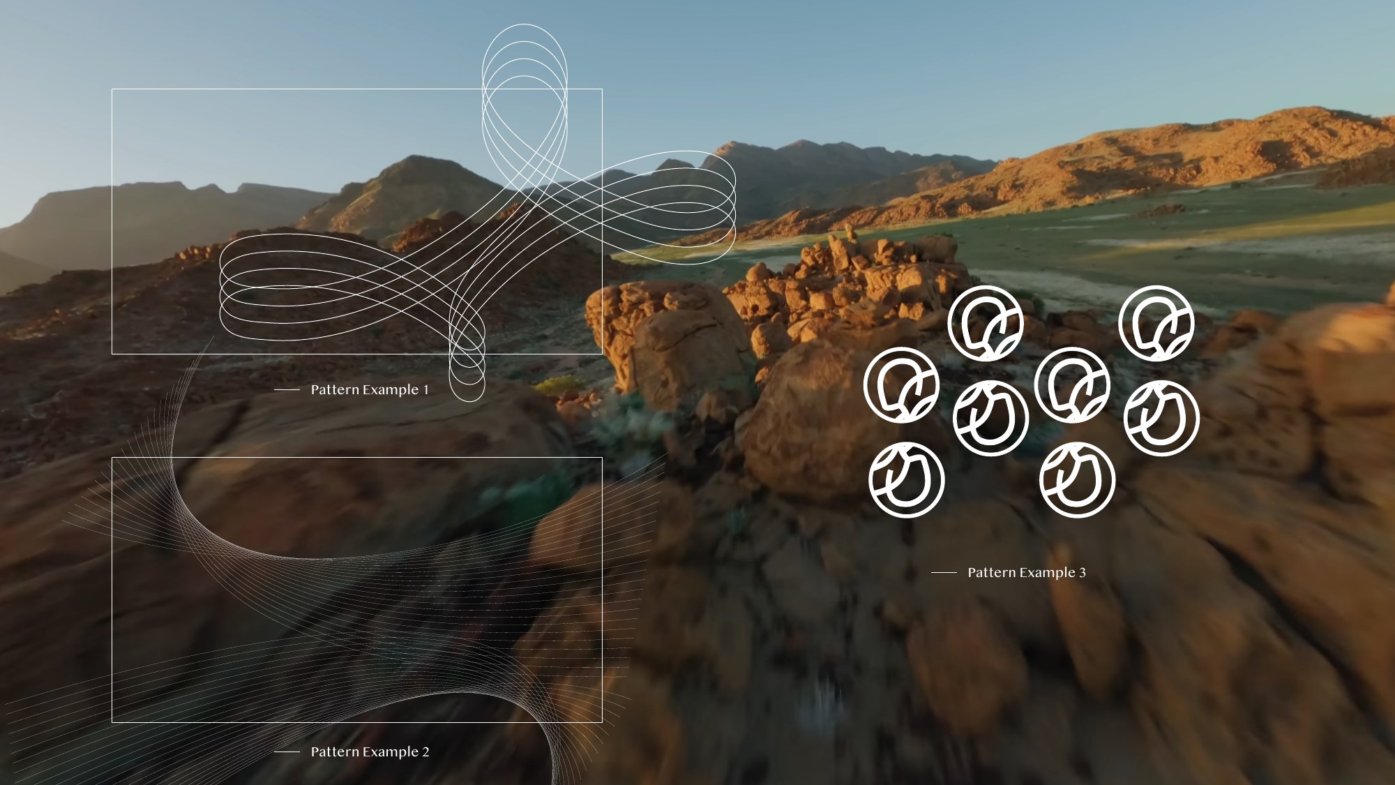 Three Latroforce pattern studies from the rebrand proposal