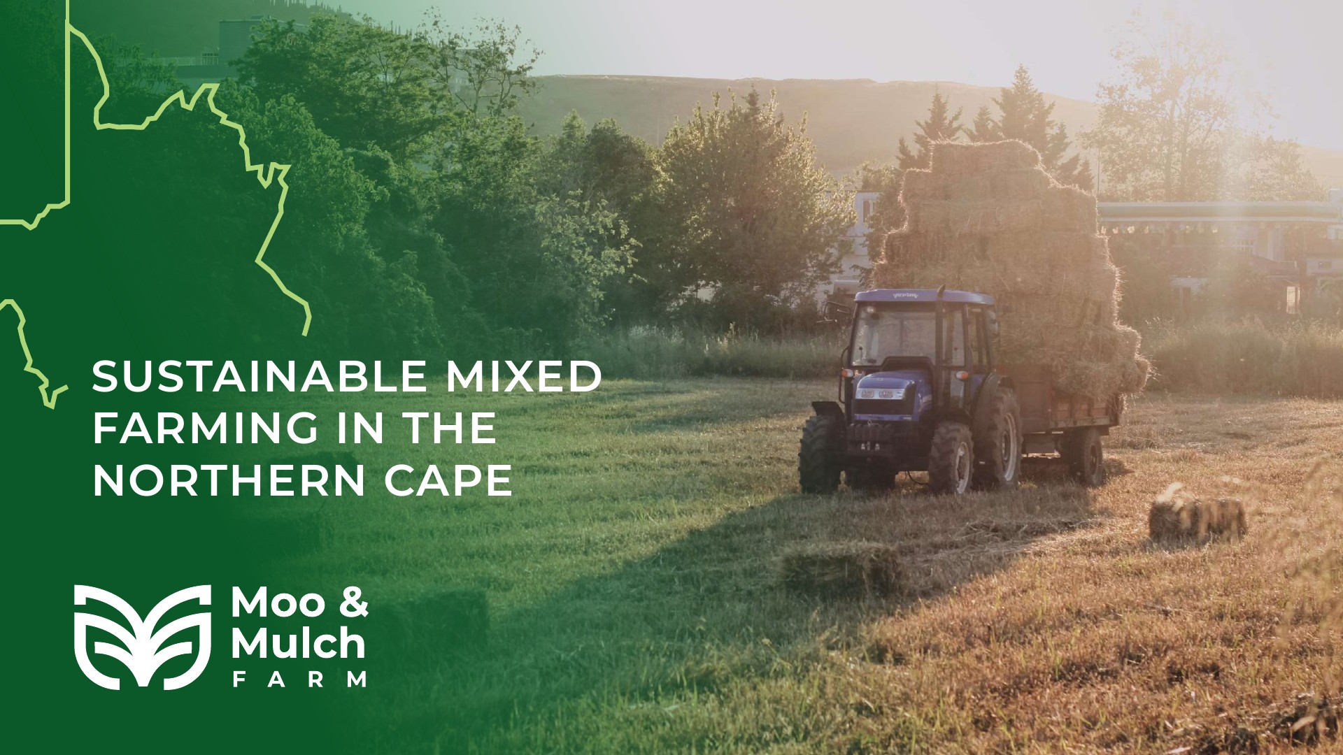 Moo & Mulch Farm green brand artwork with tractor and field imagery